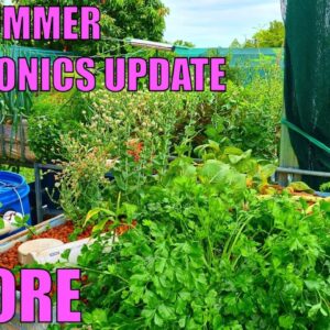 Aquaponics System | A Few Questions Answered & January 2021 Update