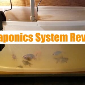 Aquaponics System Review 2 | Ask The Aquaponics God