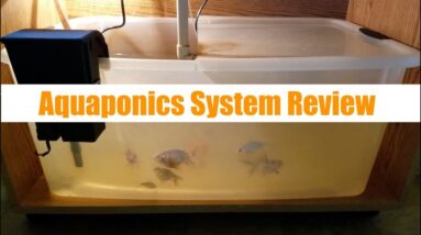 Aquaponics System Review 2 | Ask The Aquaponics God