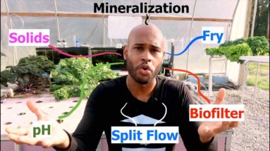 AQUAPONICS TERMINOLOGY 2