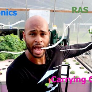 AQUAPONICS TERMINOLOGY PART 1