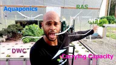 AQUAPONICS TERMINOLOGY PART 1