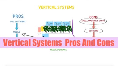 Aquaponics Vertical Systems Pros And Cons