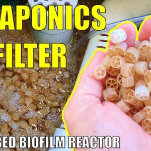 Aquaponics Biofilter | Adding a Moving Bed Biofilm Reactor to the Aquaponics System