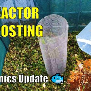 Bioreactor Composting & Mini Aqua Update