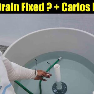 Bottom Drain Fixed ? + Carlos leaves | The Aquaponics God Ep. 9