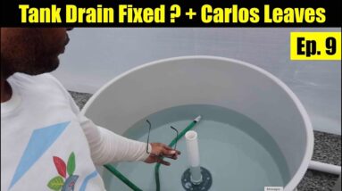 Bottom Drain Fixed ? + Carlos leaves | The Aquaponics God Ep. 9