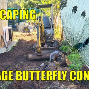 Cabbage Butterfly Control In Aquaponics & Landscaping Has Started