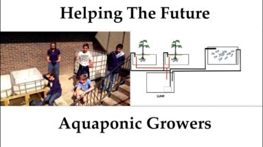 Charter School Aquaponics Blueprint | Ask The Aquaponics God