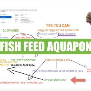 DIY fish feed - BSFL & Duckweed | Ask The aquaponics God