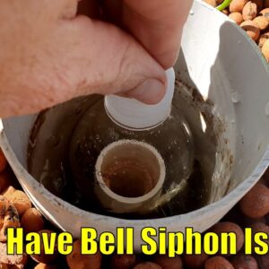 Do You Have Any Bell Siphon Issues ?🤔