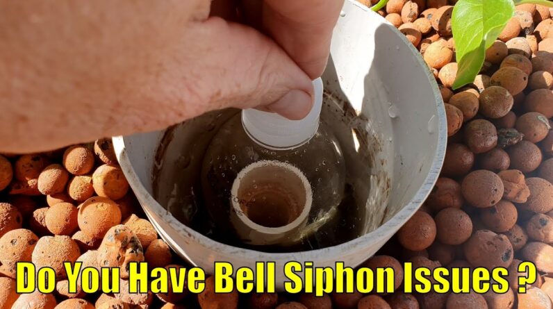 Do You Have Any Bell Siphon Issues ?🤔