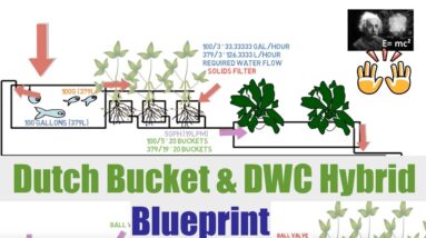 Dutch Bucket & DWC Hybrid Blueprint | Ask The Aquaponics God