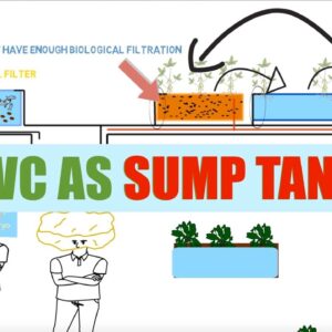 DWC As Sump Tank | Ask The Aquaponics God Episode 32