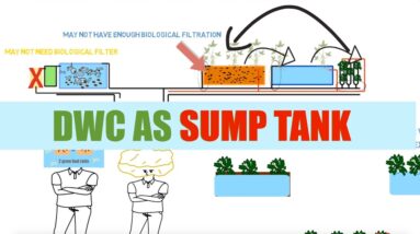 DWC As Sump Tank | Ask The Aquaponics God Episode 32