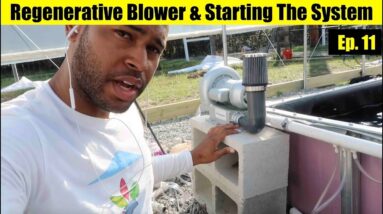 Regenerative Blower & Starting The Aquaponics System | The Aquaponics God Ep. 11