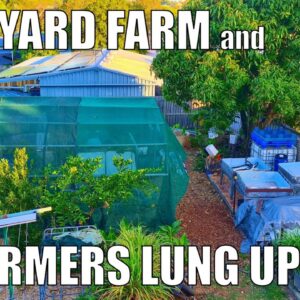 Farmers Lung & Neglected Garden