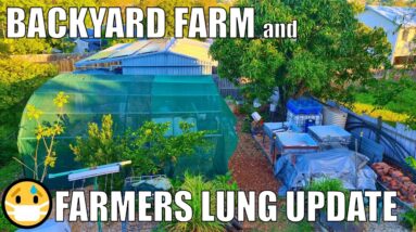 Farmers Lung & Neglected Garden