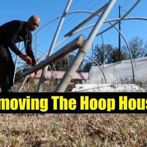 Finally Taking down the  hoop house  The Aquaponics God Ep. 5