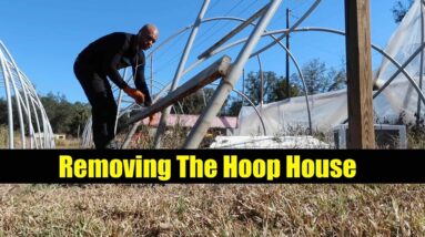 Finally Taking down the  hoop house  The Aquaponics God Ep. 5