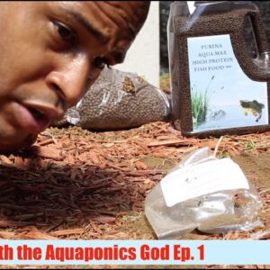 Fish Feed destroyed & New Aquaponics Book | The Aquaponics God Ep.1