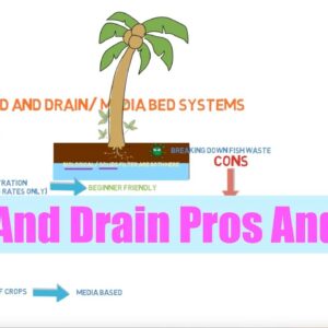 Flood and Drain Pros And Cons | Aquaponics