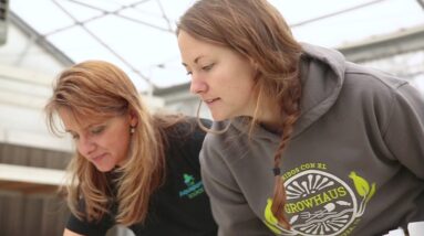 Flourish Farm Aquaponics Course