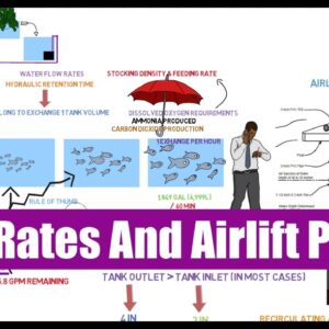 Flow Rates and Airlift Pumps | Ask The Aquaponics God