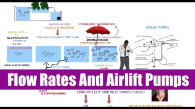 Flow Rates and Airlift Pumps | Ask The Aquaponics God