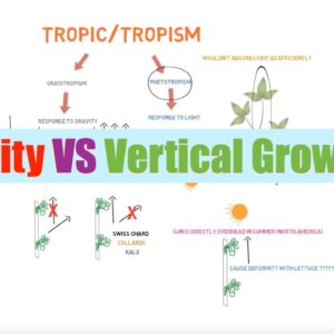 Gravity Vs Vertical Growing | Ask The Aquaponics God Ep31