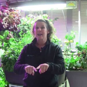 Grow Lighting for Aquaponics Part 1