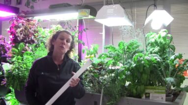 Grow Lighting for Aquaponics Part 2 - Fluorescents