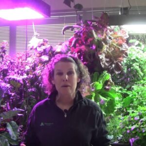 Grow Lighting for Aquaponics Part 4 - LED & Induction