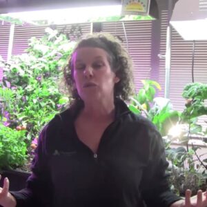 Grow Lighting for Aquaponics Part 5 - Cost Comparison