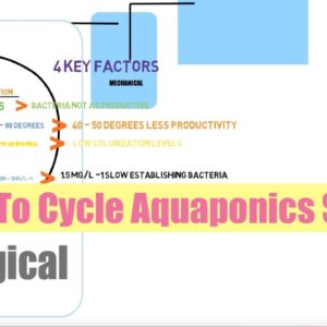 How Long to Cycle An Aquaponics System | Ask The aquaponics God Ep19