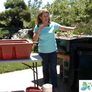 How to Select your Aquaponics Grow Bed