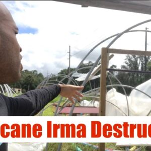 Hurricane Irma Destruction | The Aquaponics God Ep. 3