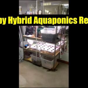 Hybrid Hobby Aquaponics System Review | ATAG