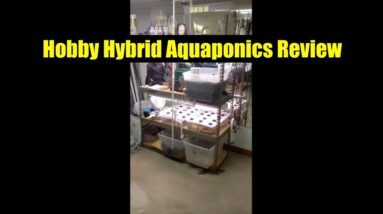 Hybrid Hobby Aquaponics System Review | ATAG