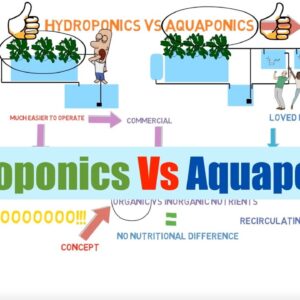 Hydroponics vs Aquaponics