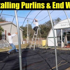 Installing The Purlins And End Wall | The Aquaponics God Ep.7