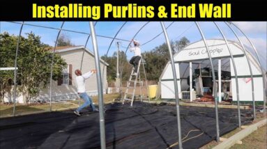 Installing The Purlins And End Wall | The Aquaponics God Ep.7