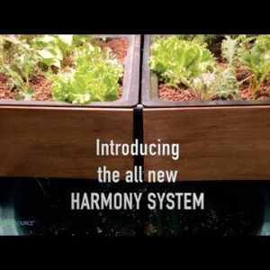 Introducing the Harmony!