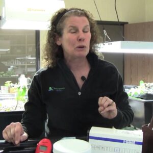 Iron Deficiency in Aquaponics - Part 1: Diagnosing and Treating