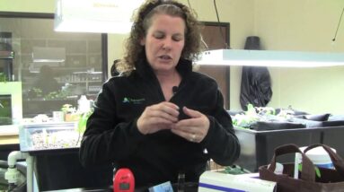 Iron Deficiency in Aquaponics - Part 2: Testing Using the Iron Checker