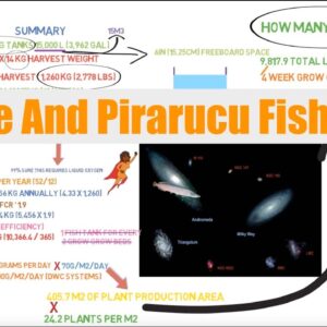 Lettuce And Pirarucu Fish Ratios | Ask the Aquaponics God