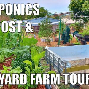 Mid Winter Backyard Farm Tour - Aquaponics, Compost & Regenerative Mulch