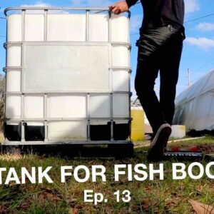 Mineralization Tank For Fish Waste | The Aquaponics God  Ep. 13