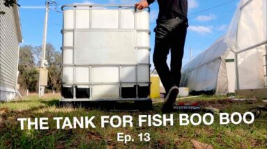 Mineralization Tank For Fish Waste | The Aquaponics God  Ep. 13