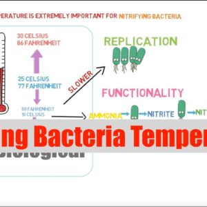 Nitrifying Bacteria Temperature | Ask The Aquaponics God Ep 16